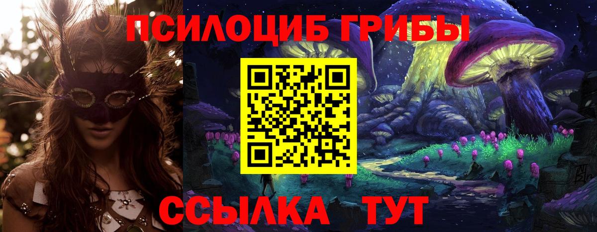 Псилоцибиновые грибы Psilocybe  Вход с VPN  Реж 